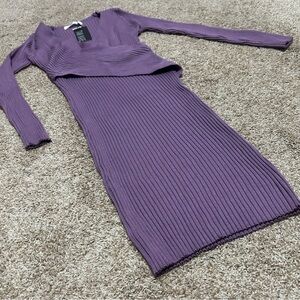 Purple Ribbed Knit Long Sleeve Dress by Tam Ware
